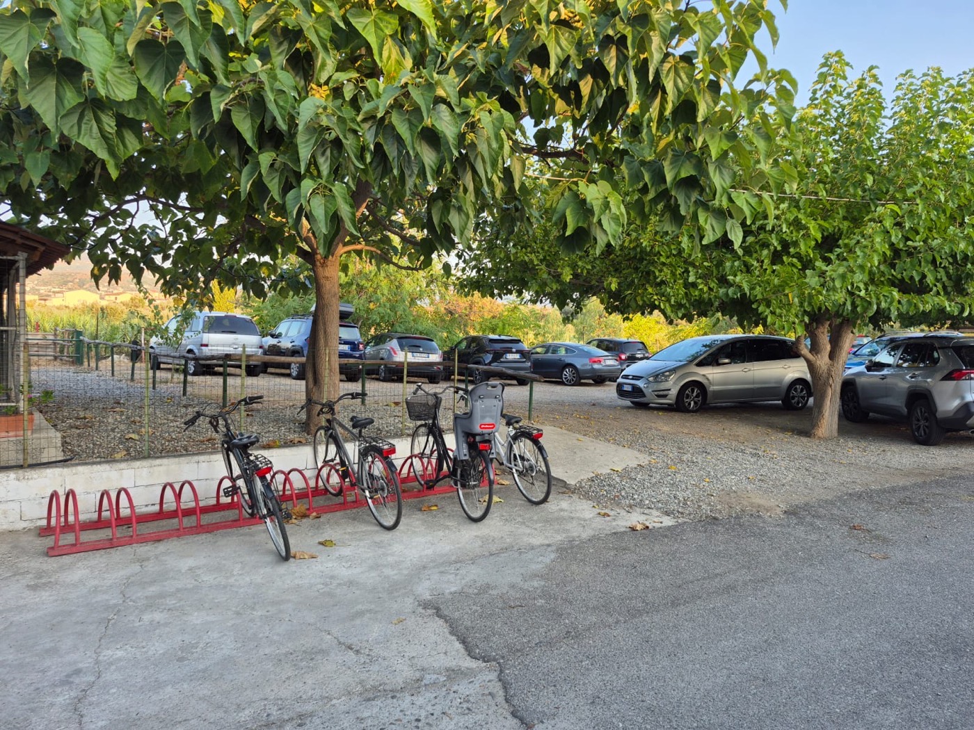 Rastrelliera delle biciclette accanto al parcheggio auto, tra gli alberi